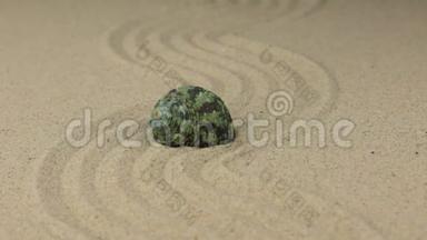 一个美丽的贝壳在一条由沙子制成的曲<strong>线上</strong>放大。